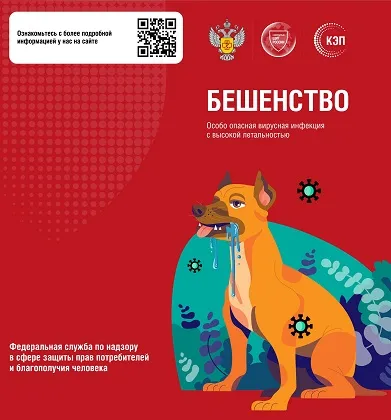 Роспотребнадзор информирует: пресс-релиз инфографика Профилактика бешенства